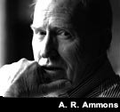 The Openness of A. R. Ammons