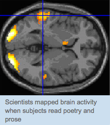 This Is Your Brain On Poetry