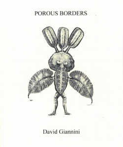 Giannini.PorousBorders72