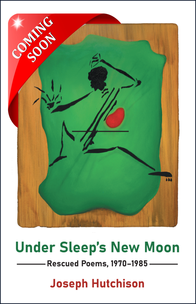 Under Sleep's New Moon Front Cover