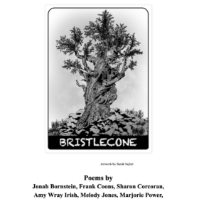 The April Edition of Bristlecone Is Available Now