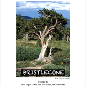 BRISTLECONE July 2022 is Live!