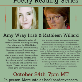 Don’t Miss Amy Wray Irish & Kathleen Willard @ BookBar…